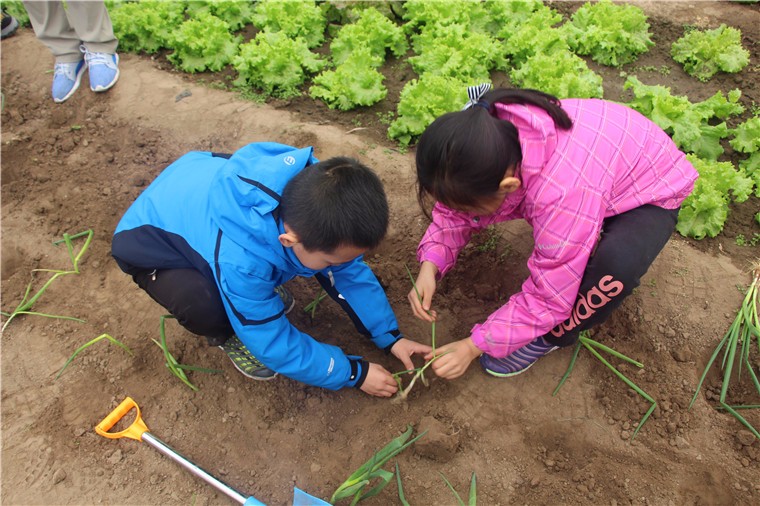 [懷北國際汽車營地]-親子農(nóng)事二日活動