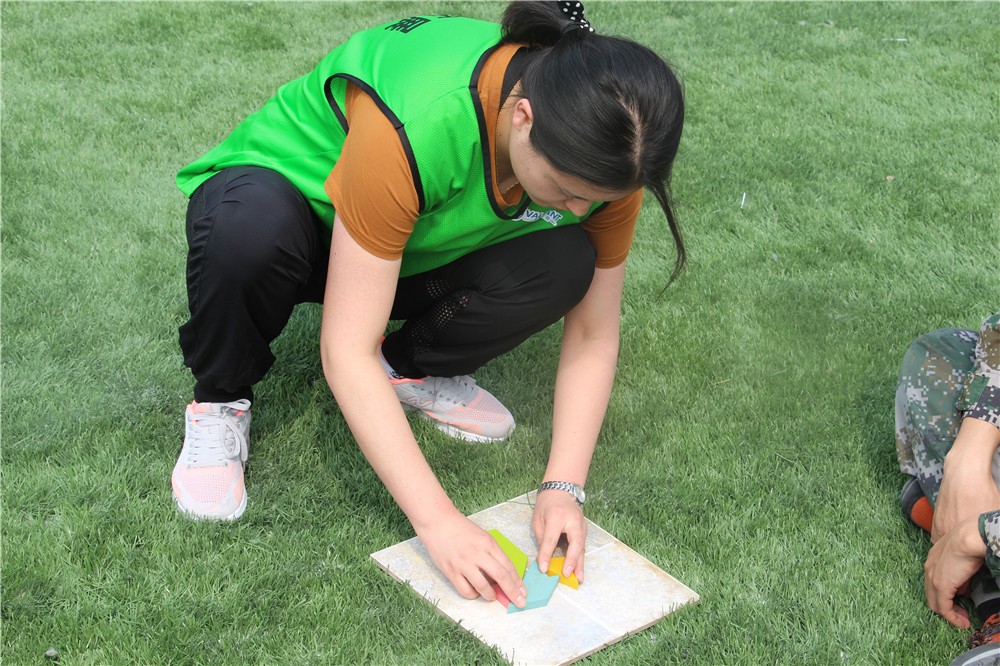 [崇明島東平國家森林公園]野外拓展-戶外穿越一日團(tuán)建活動