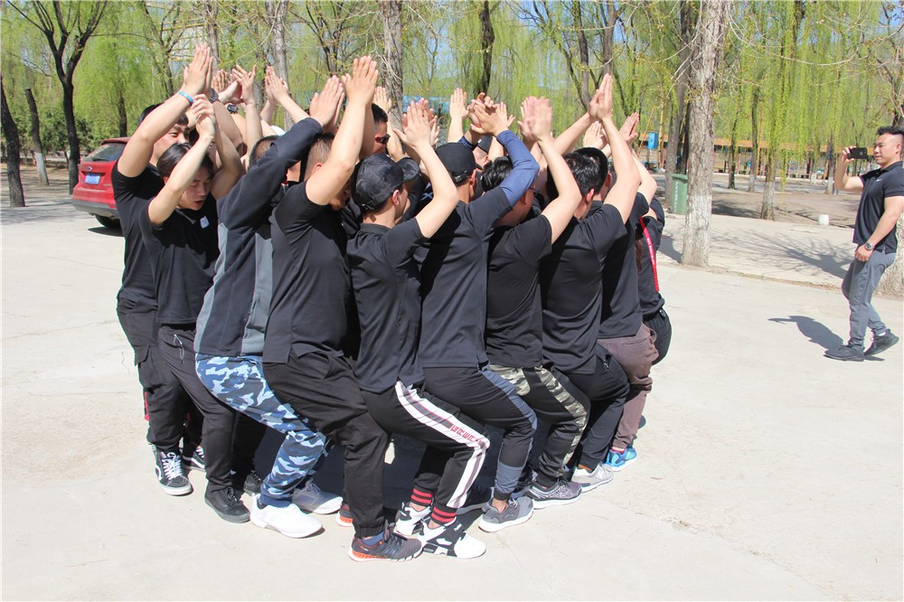 [崇明島東平國家森林公園]野外拓展-戶外穿越一日團(tuán)建活動