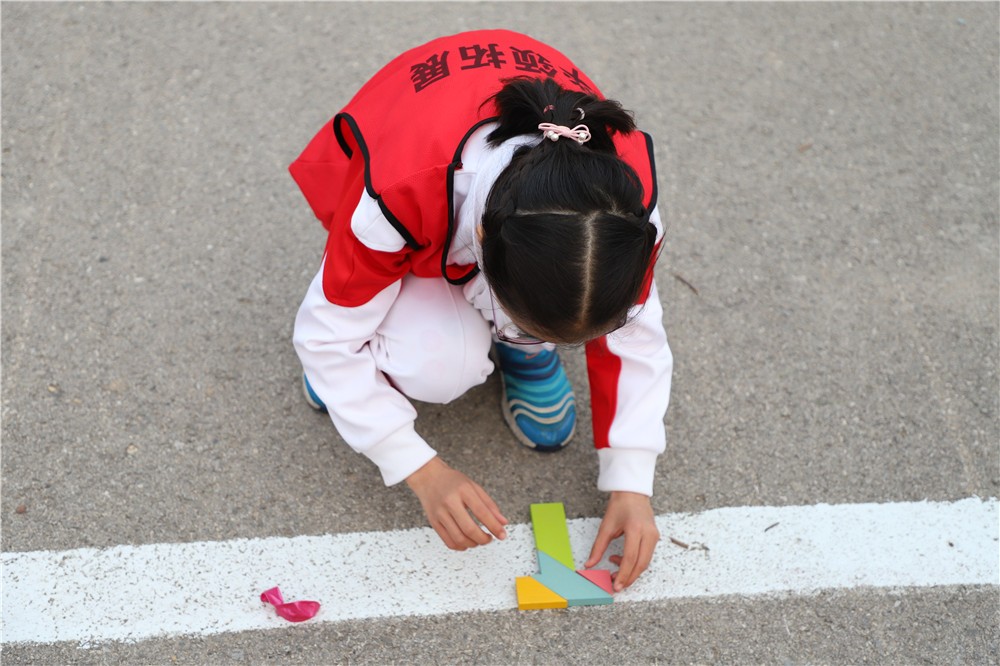 [天津海昌極地海洋公園]+ 一日拓展活動(dòng)