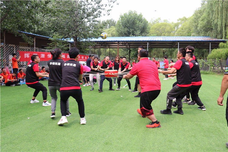 [蘇州樹(shù)山生態(tài)村拓展基地]+場(chǎng)地拓展活動(dòng)