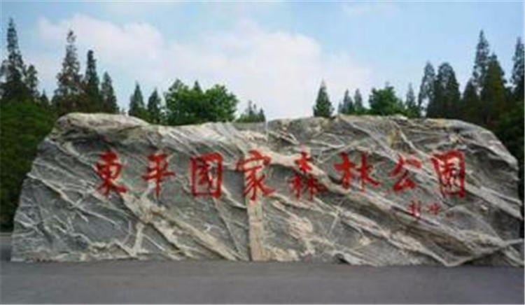 [崇明島東平國家森林公園]野外拓展-戶外穿越一日團(tuán)建活動