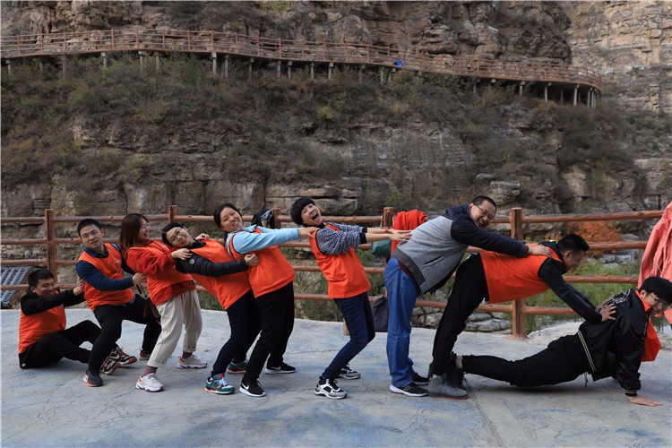 [上海東平森林公園]-主題拓展一日活動(dòng)