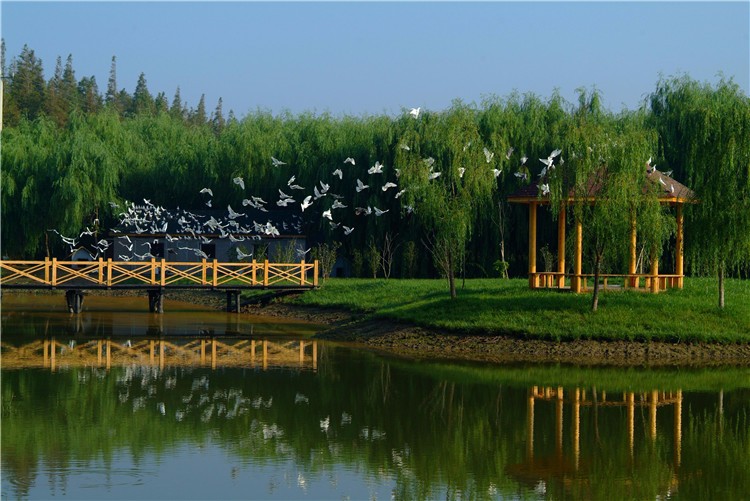 [上海東平森林公園]-主題拓展一日活動(dòng)